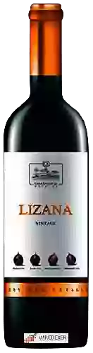 Bodega Casa Cesilia - Lizana