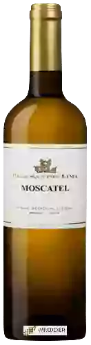 Bodega Casa Santos Lima - Moscatel