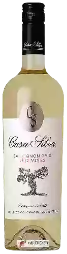 Bodega Casa Silva - Sauvignon Gris