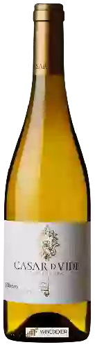 Bodega Casar de Vide - Treixadura