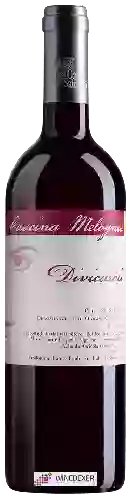 Bodega Cascina Melognis - Divicaroli Pelaverga