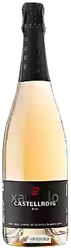 Bodega Castellroig - Vermell Brut