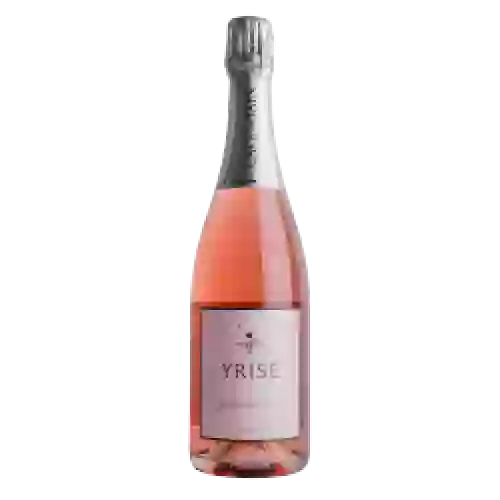 Cave de Tain - Yrisé Rosé