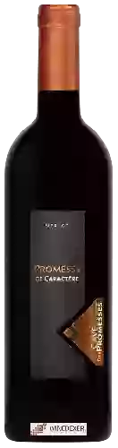 Cave des Promesses - Promesse de Caractère Merlot