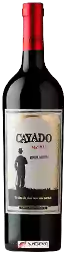 Bodega Eduardo Vidal - Cayado Malbec