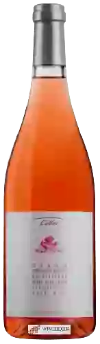 Bodega Cellar - Syrah - Grenache Rouge Rosé