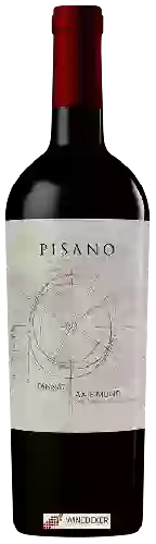 Bodega Pisano - Axis Mundi Super Premium Tannat