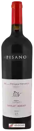 Bodega Pisano - Rio de Los Pájaros Pintados Reserva Tannat - Merlot