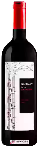 Bodega Chapillon - Cuvée Harmonie Petit Verdot - Tannat