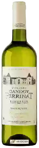 Château Gandoy-Perrinat - Bordeaux Sauvignon