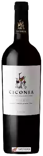 Bodega Ciconia - Reserva Tinto Blend