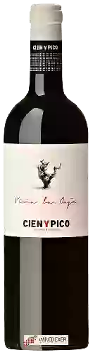 Bodega Cien Y Pico - Viña La Ceja