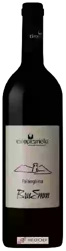 Bodega Ciro Picariello - Bruemm Falanghina