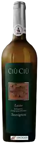 Bodega Ciù Ciù - Sauvignon