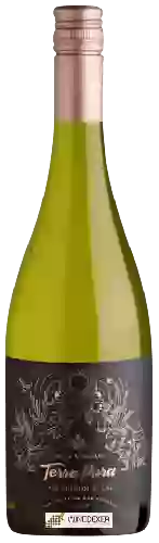 Bodega Terrapura - Single Vineyard Sauvignon Blanc