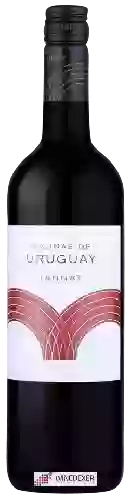 Bodega Colinas de Uruguay - Tannat