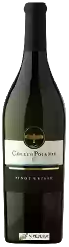 Bodega Colli di Poianis - Pinot Grigio