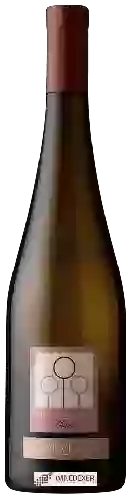 Bodega Corvezzo - Olmè Pinot Grigio