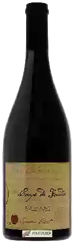 Bodega Coup de Foudre - Pinot Noir