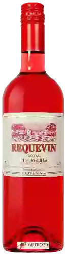 Bodega Coviñas - Requevin Bobal