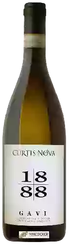 Bodega Curtis Nova - Gavi 1888