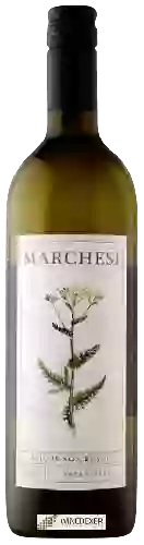 Bodega David Marchesi - Sauvignon Blanc