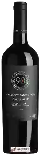 Bodega 90+ Cellars - Lot 127 Cabernet Sauvignon - Carmenérè