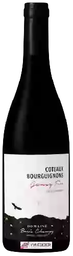 Domaine Boris Champy - Gamay Fin Coteaux Bourguignons