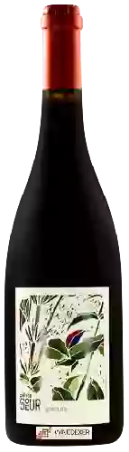 Domaine de la Petite Soeur - Adrien de Mello - Gamins