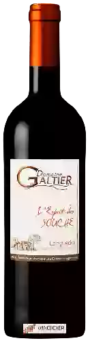 Domaine Galtier - L'Esprit des Souche Rouge