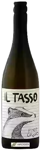 Bodega Il Tasso - Pinot Grigio