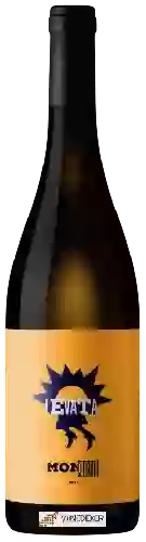 Bodega Monserrato 1973 - Levata