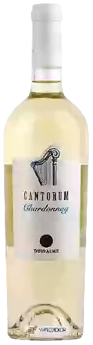 Bodega Cantine due Palme - Cantorum Chardonnay