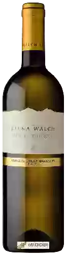 Bodega Elena Walch - Müller Thurgau Vigneti delle Dolomiti