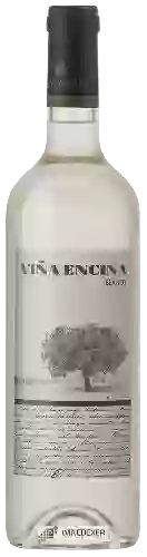 Bodega Elvi - Viña Encina Blanco