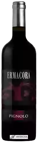 Bodega Ermacora - Pignolo