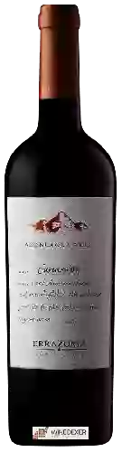 Bodega Errazuriz - Aconcagua Alto Carmen&egravere