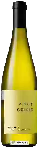 Bodega Erste+Neue - Pinot Grigio