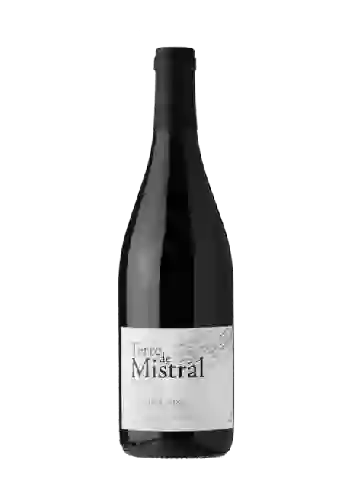 Bodega Estezargues - Terre de Mistral Reserve Côtes du Rhône