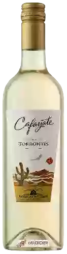 Bodegas Etchart - Cafayate Torrentés