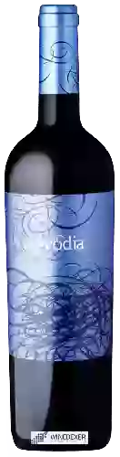 Bodega Evodia - Old Vines Garnacha