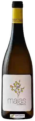 Bodega Faldas da Serra - Maias Branco