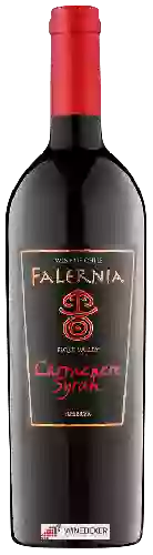 Bodega Falernia - Carmenère - Syrah Reserva