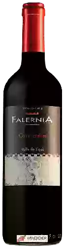 Bodega Falernia - Carménère