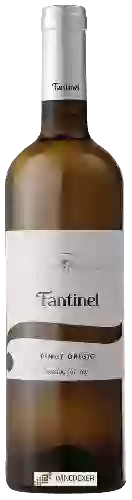 Bodega Fantinel - Pinot Grigio Borgo Tesis