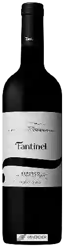 Bodega Fantinel - Refosco dal Peduncolo Rosso Borgo Tesis