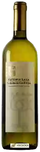 Bodega Fattoria Laila - Verdicchio dei Castelli di jesi