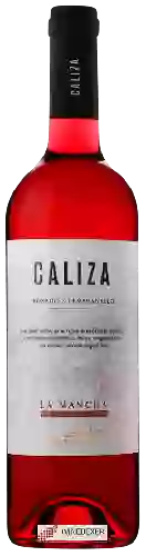 Bodega Félix Solís - Caliza La Mancha Tempranillo Rosado