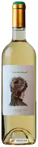 Bodega Fenomenal - Sauvignon Blanc