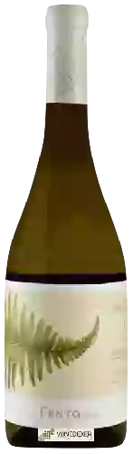 Bodega Fento - Albariño